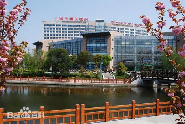 Fudan University Affiliated Pudong Hospital 1